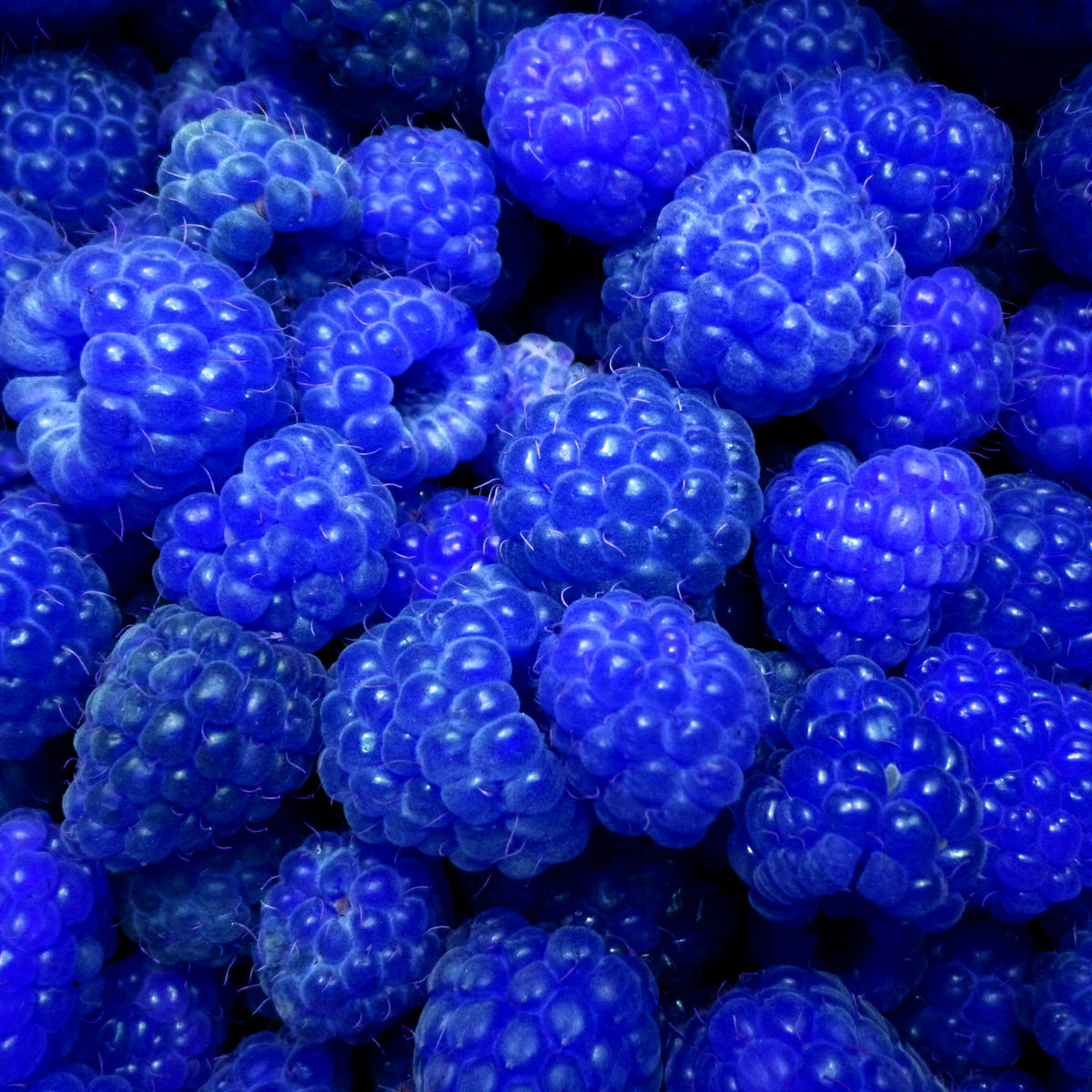 100% Natural Blue Raspberry Flavour
