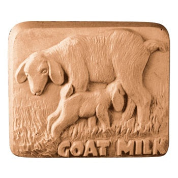 Goat Milk Bar Milky Way Soap Mold