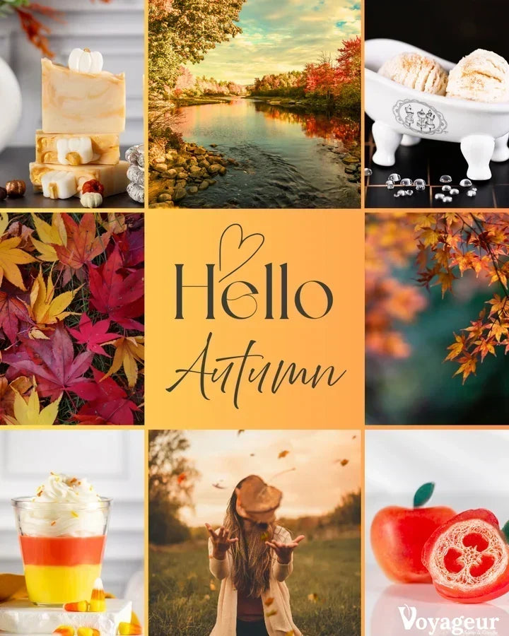 🍂 Celebrate Fall with These Cozy DIY Crafts