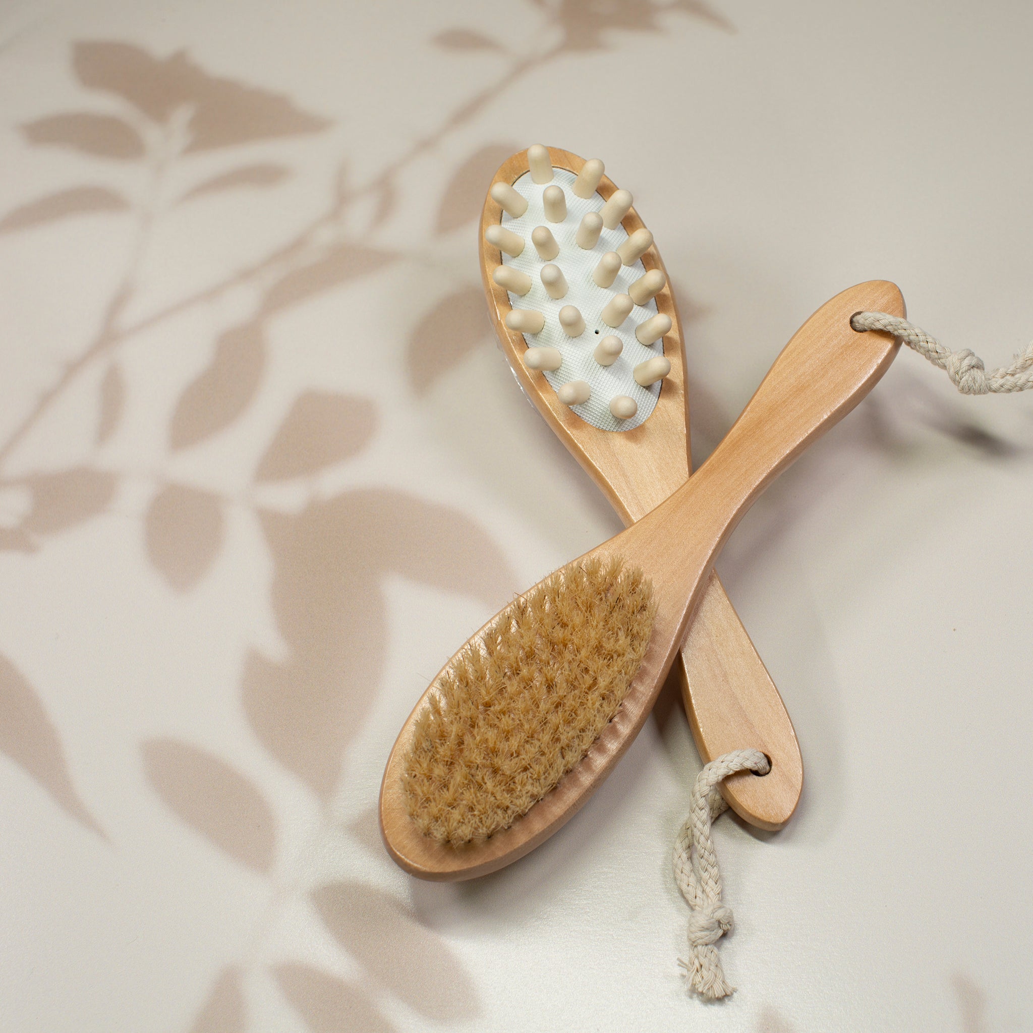 bath and brush grooming