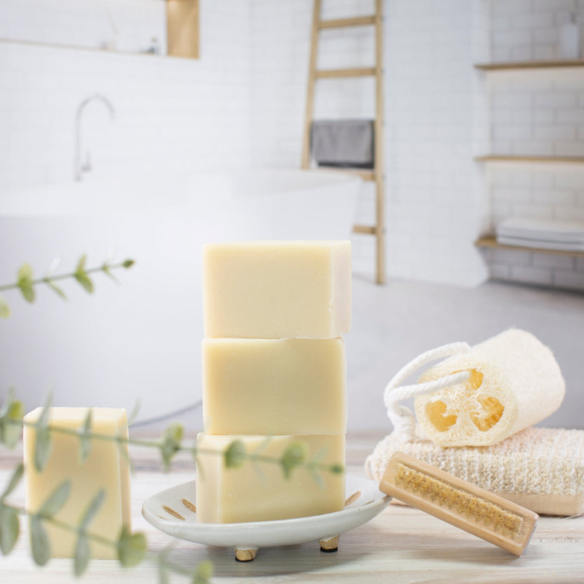 Bath and Body Castile Unscented Bar Soap - 5oz – Voyageur Soap & Candle