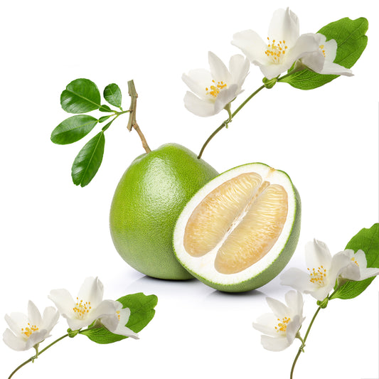 Jasmine and Pomelo - Yankee Candle Type Fragrance Oil