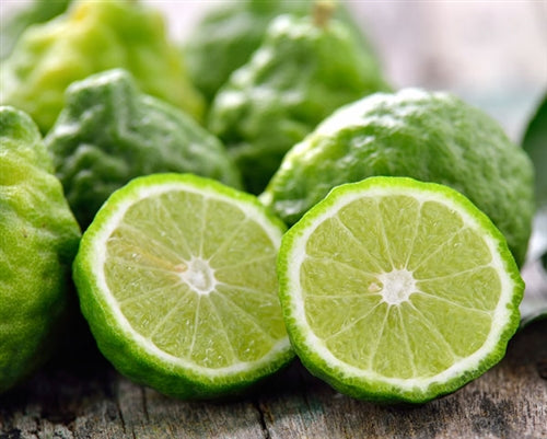 Bergamot FCF Essential Oil
