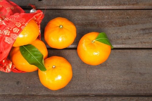 Mandarin Red Essential Oil