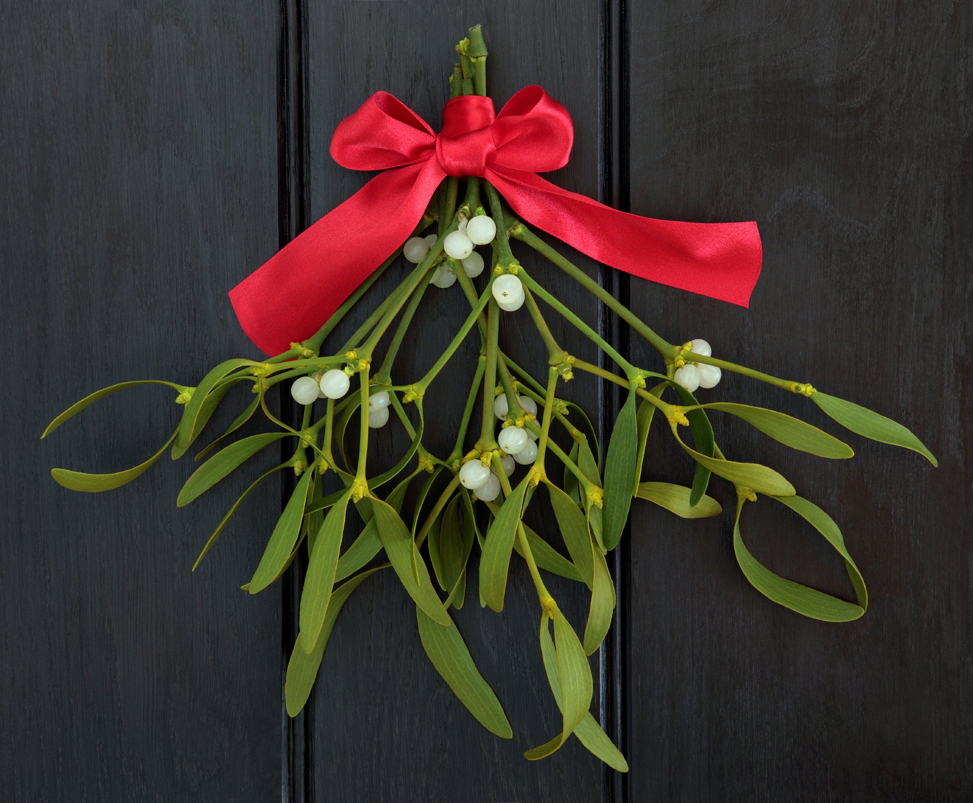 Under the Mistletoe Fragrance Oil