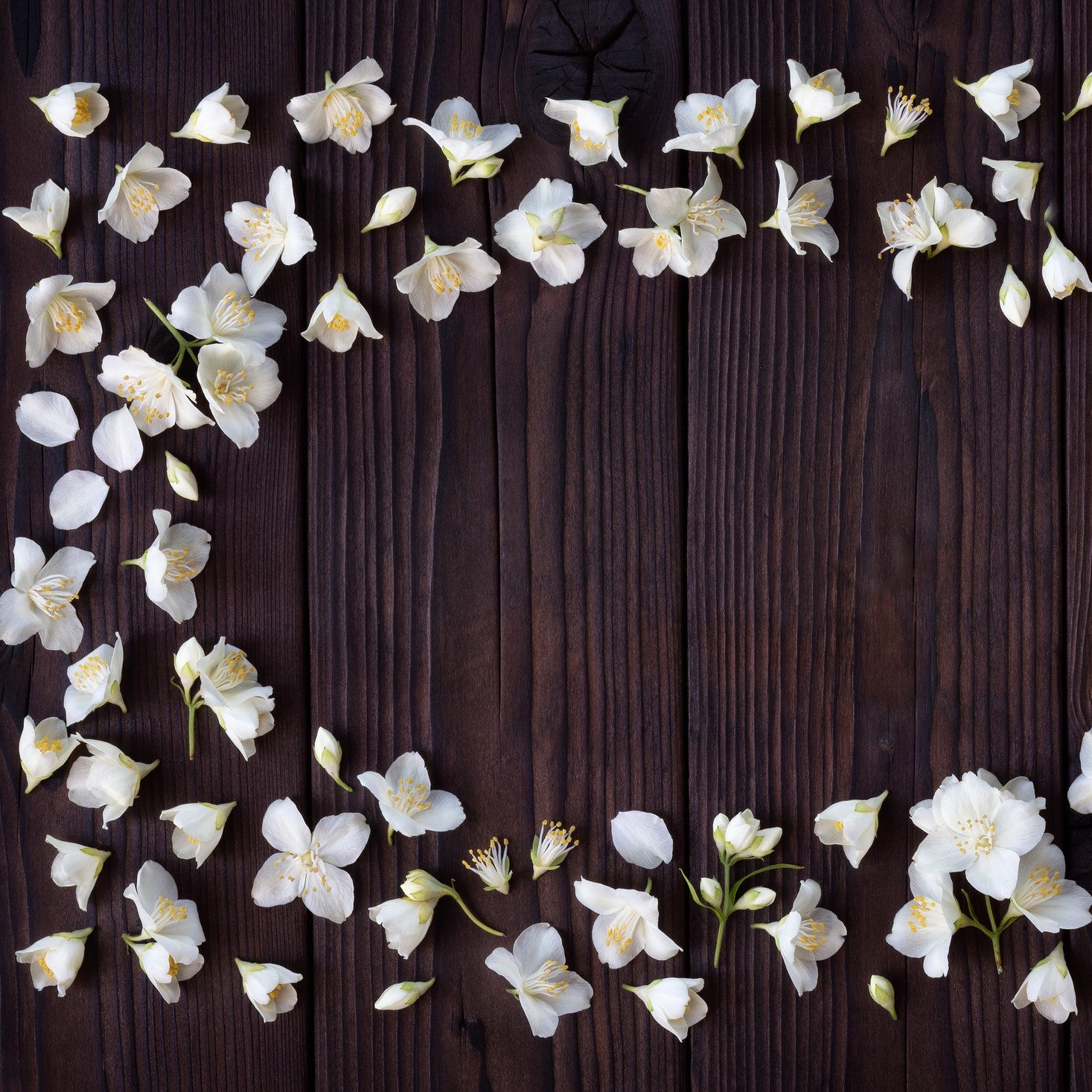 all natural jasmine cedarwood fragrance oil