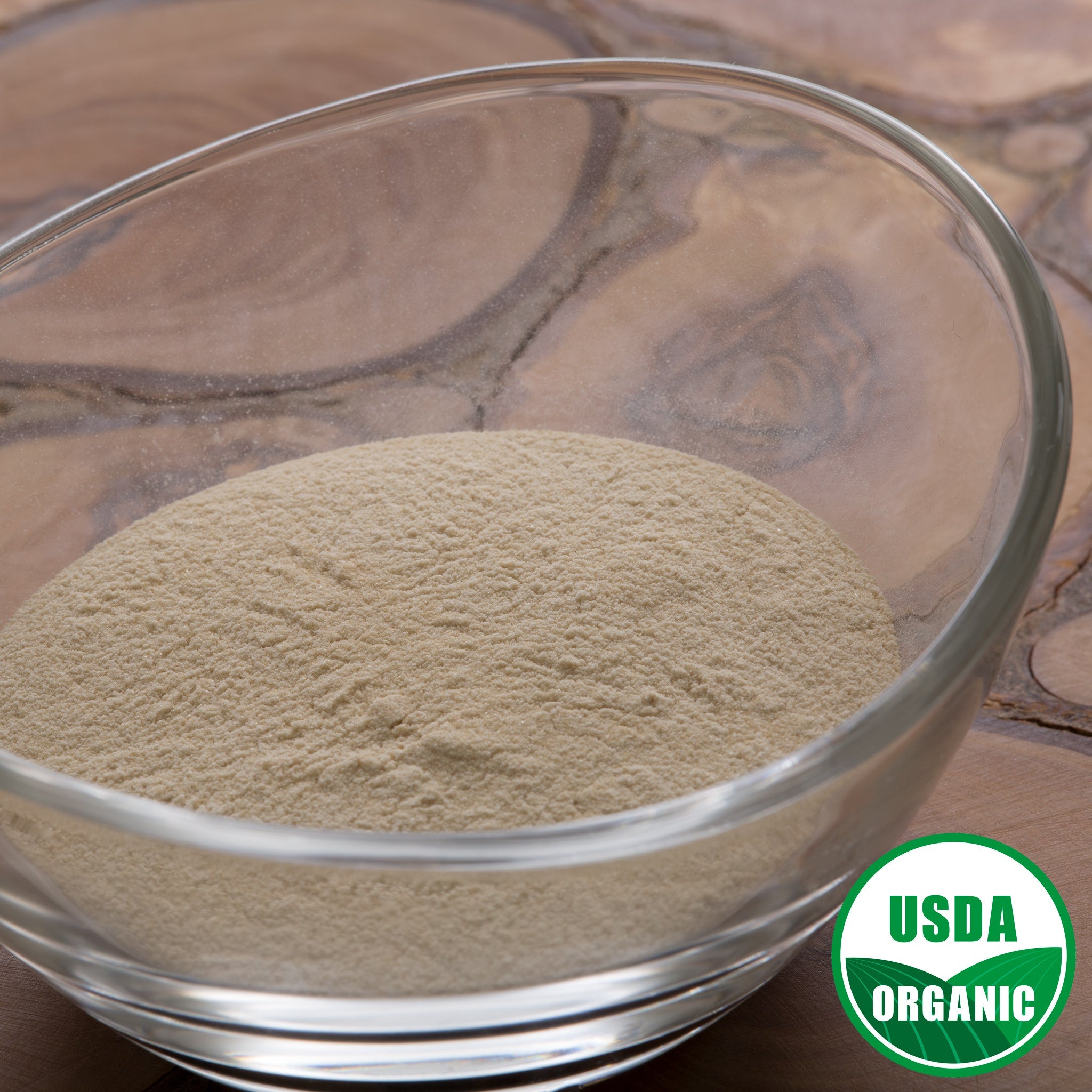 Aloe Vera Extract Powder 200x - Organic