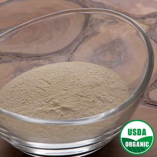 Aloe Vera Extract Powder 200x - Organic