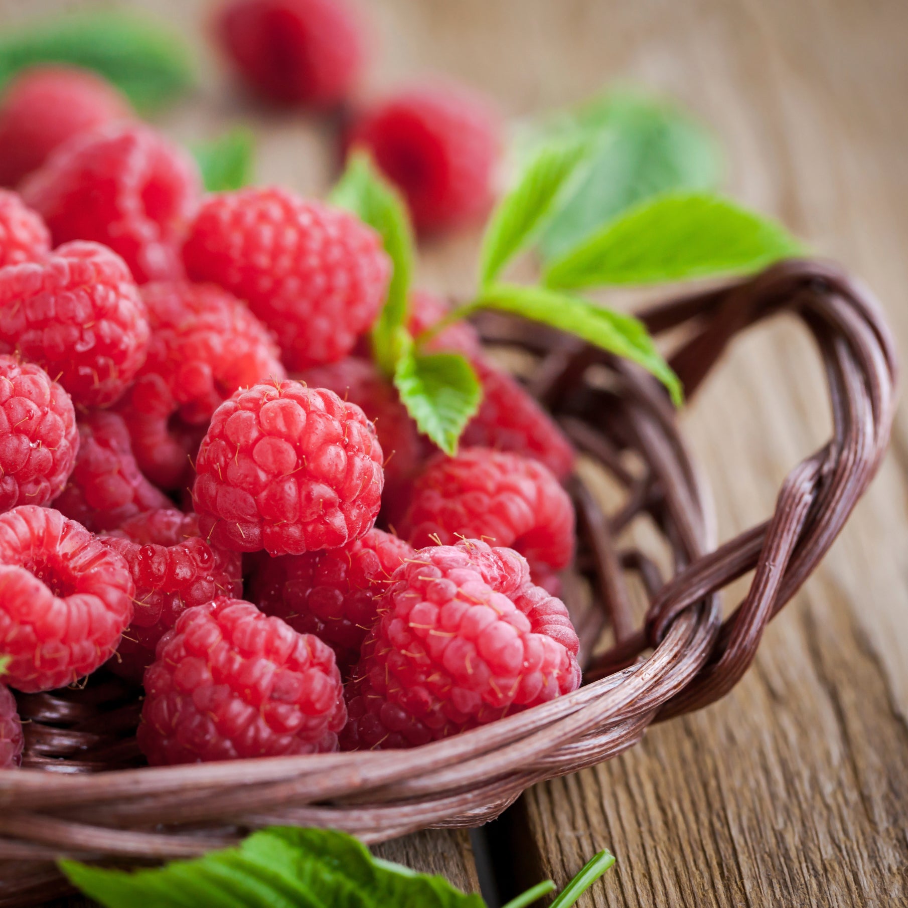 Blue Raspberry Fragrance Oil – Voyageur Soap & Candle