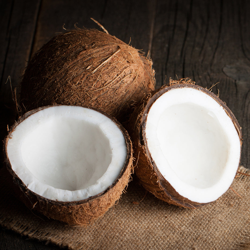 Coconut Flavour – Voyageur Soap & Candle