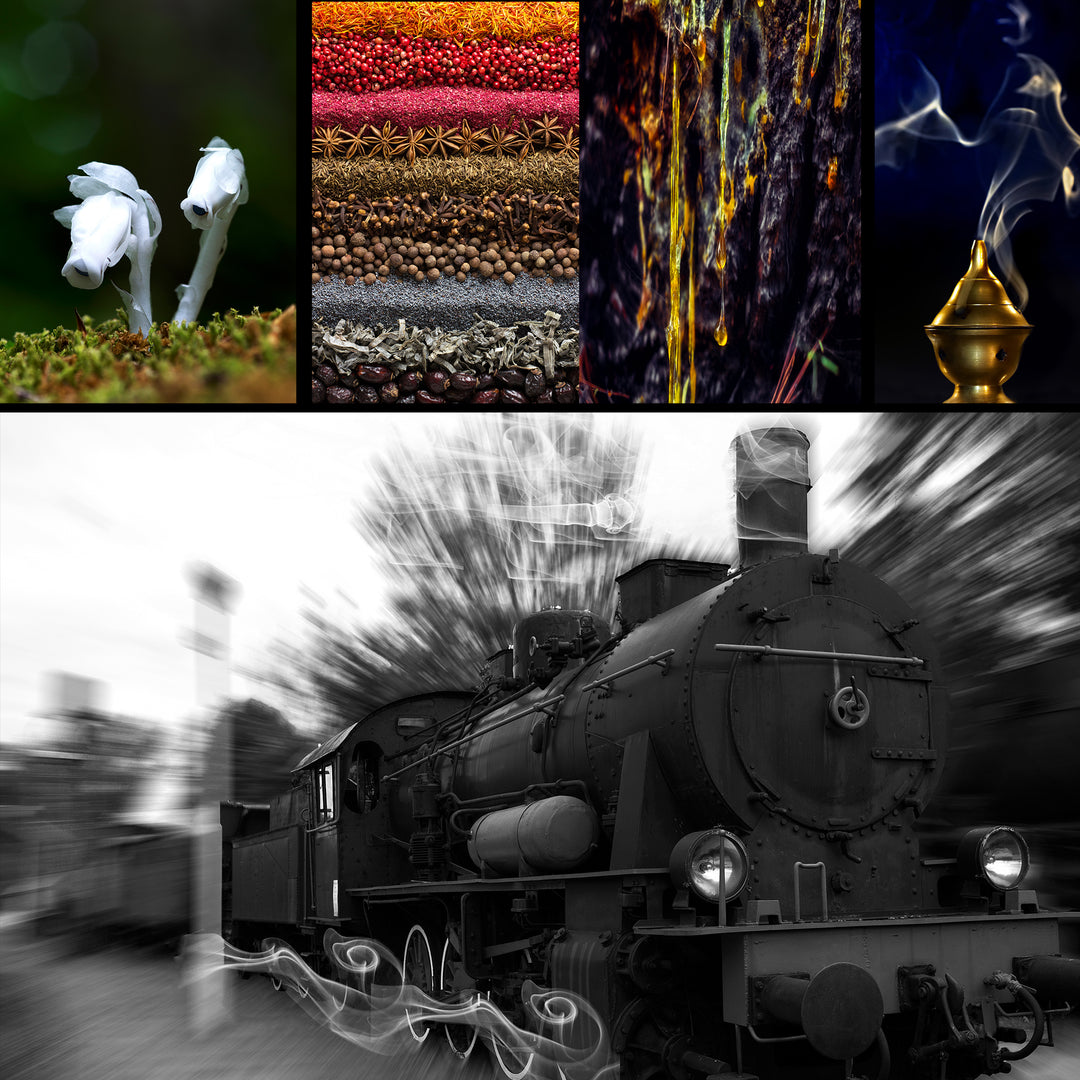 Ghost Train Fragrance