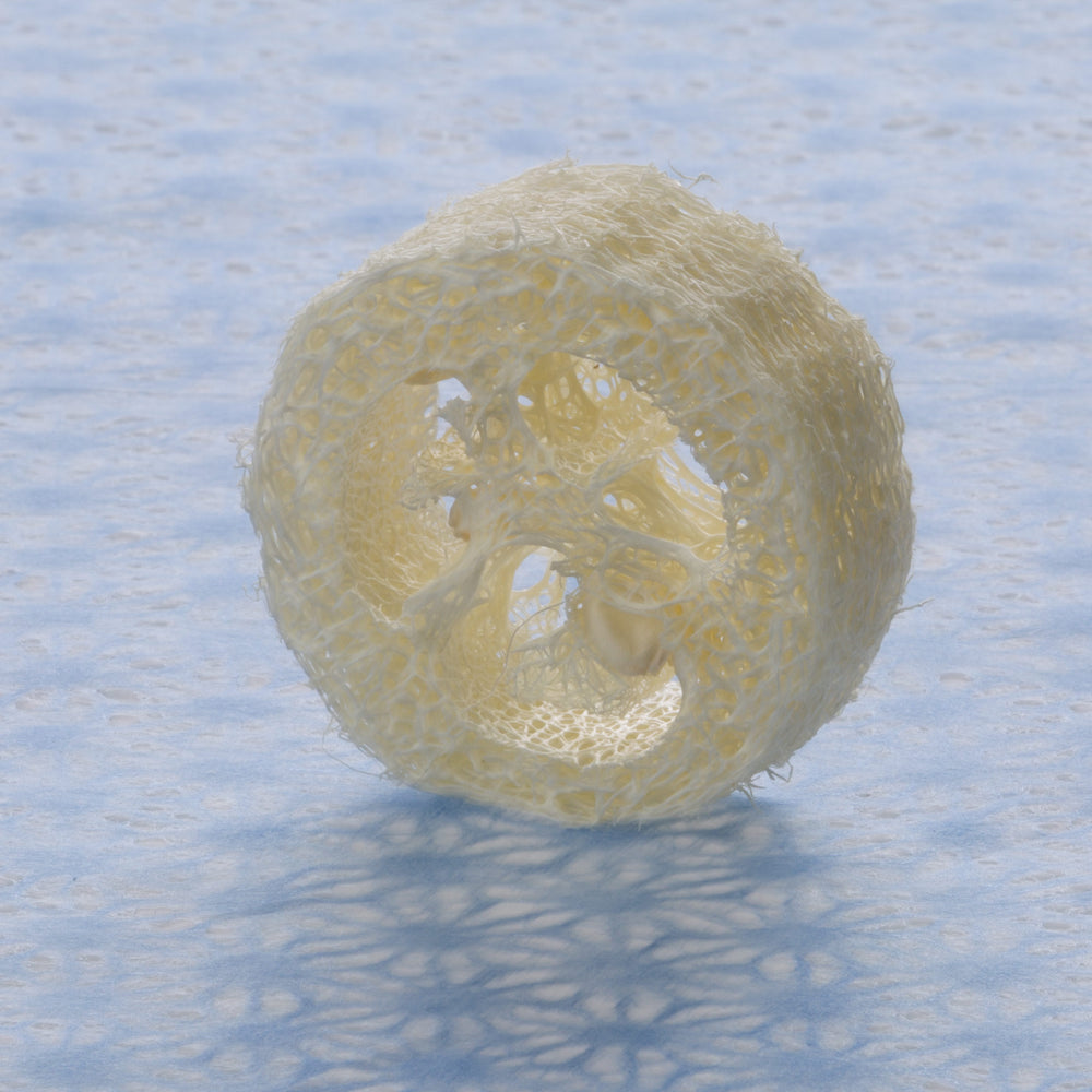 Loofah Slice - 7/8" thick