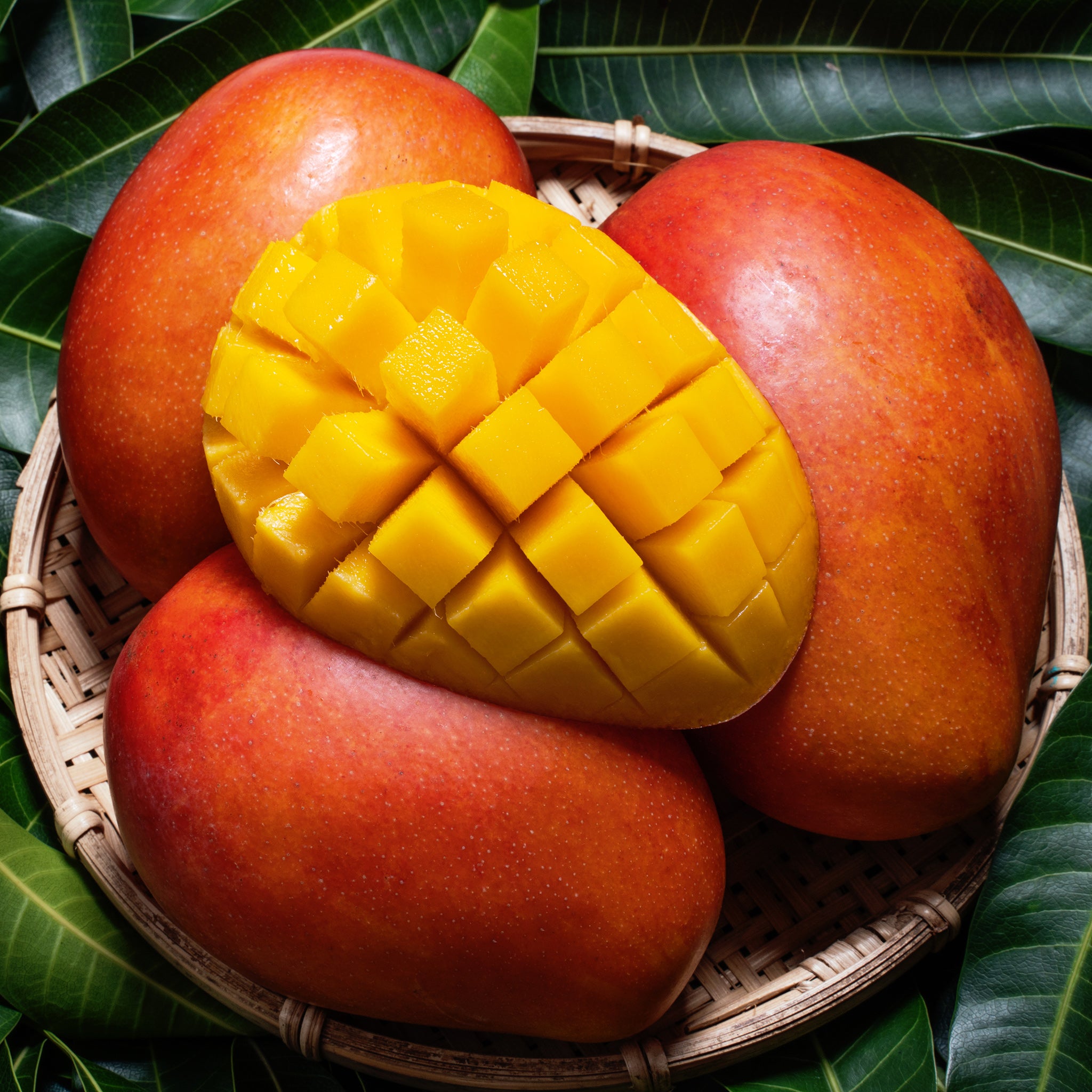Mango Fragrance Oil Body Shop Type