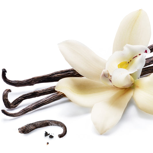 100% Natural Vanilla Flavour