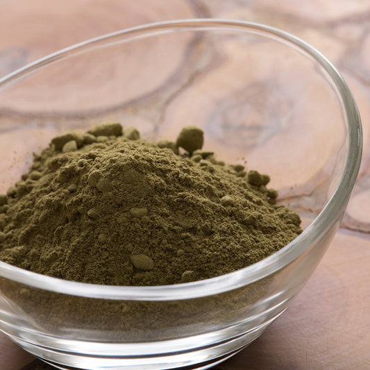 Rosemary Extract - Powder