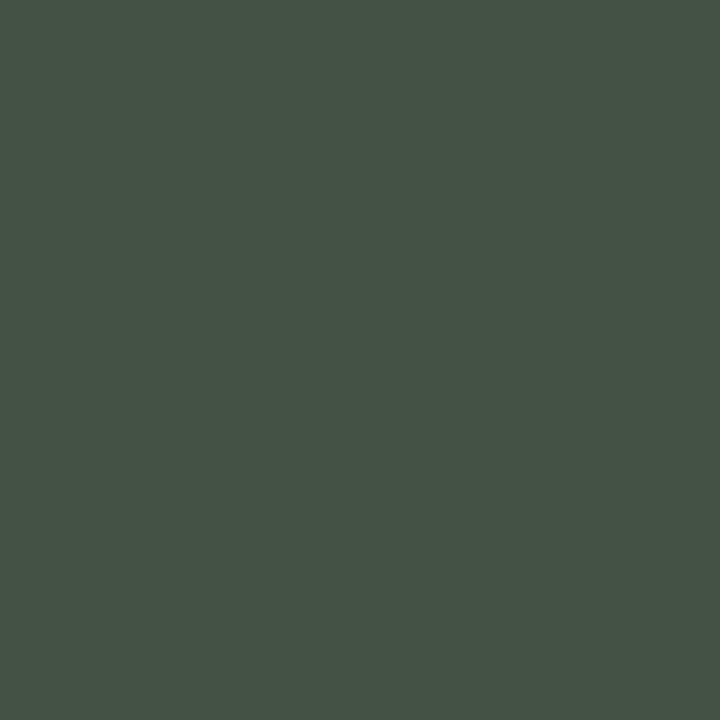 Diamond Dye Forest Green