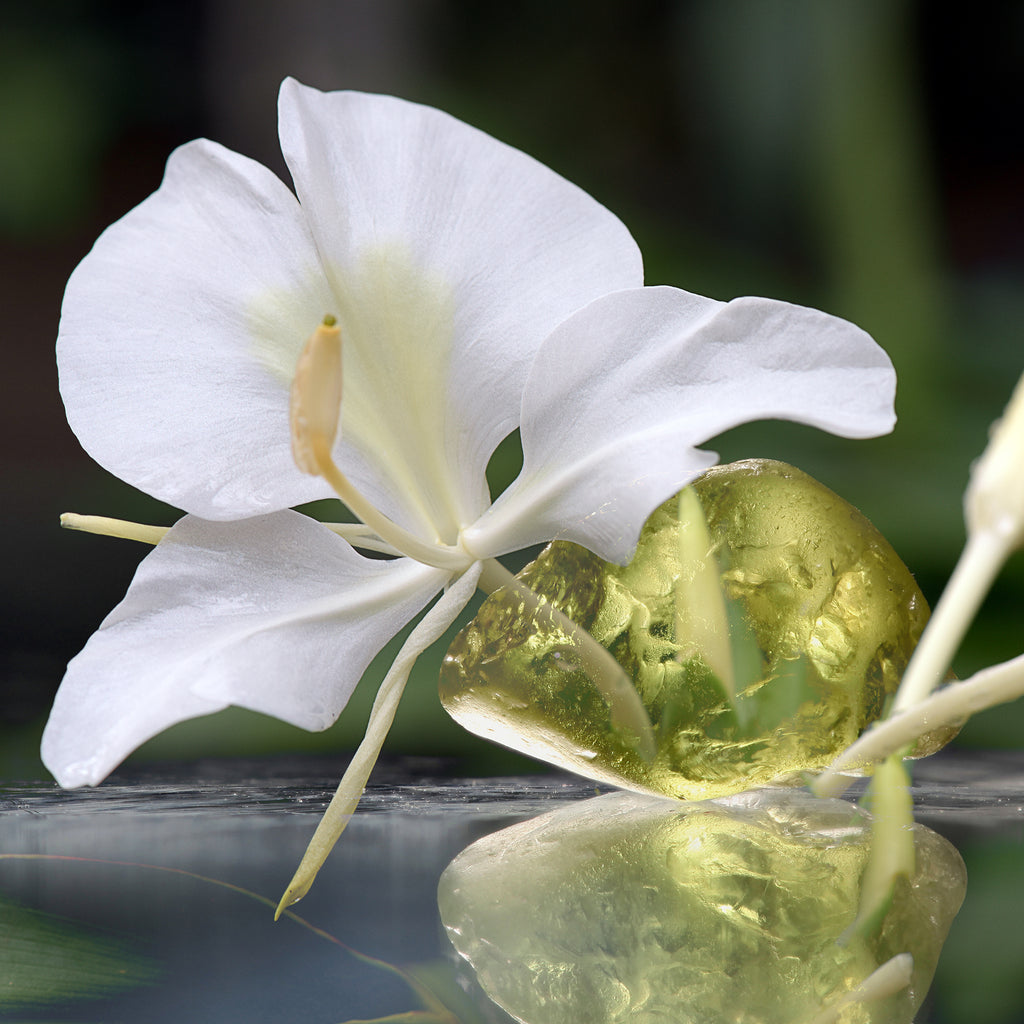 white ginger lily absolute White Ginger Lily Fragrance Oil 30 ml / 1 fl. oz