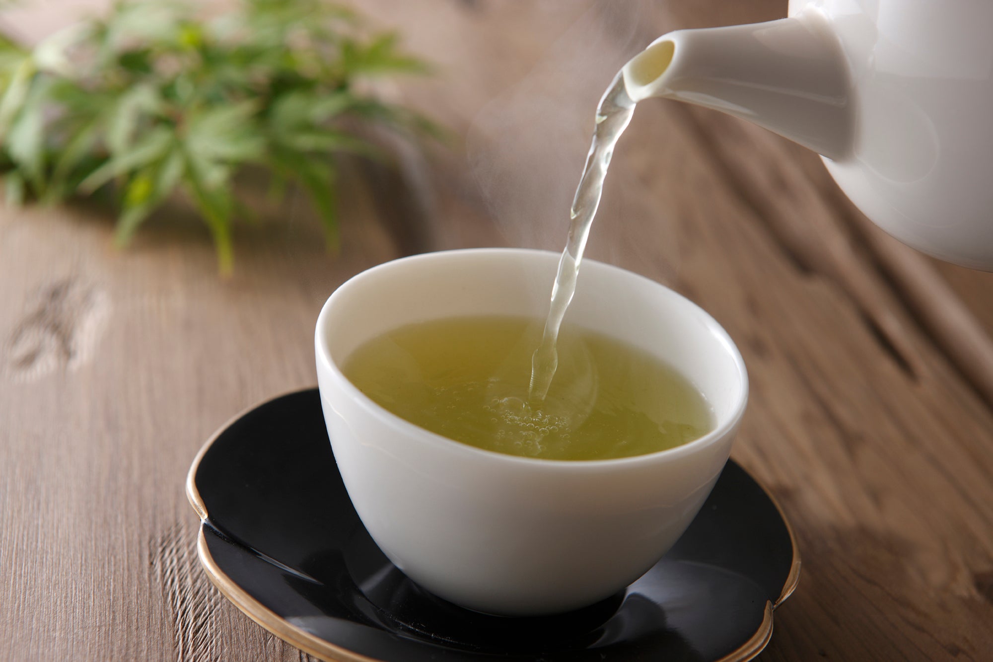 Green Tea Fragrance Oil – Voyageur Soap & Candle