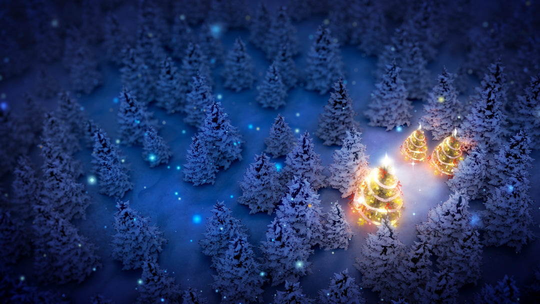Christmas Forest Essential Oil Blend