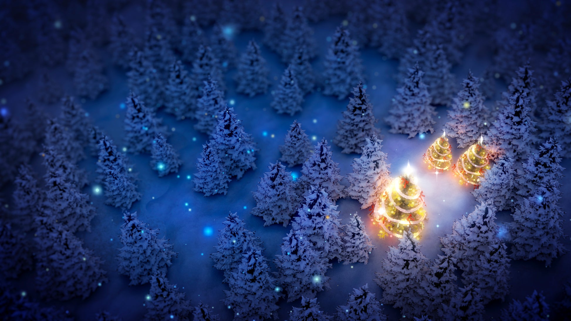 Christmas Forest Essential Oil Blend